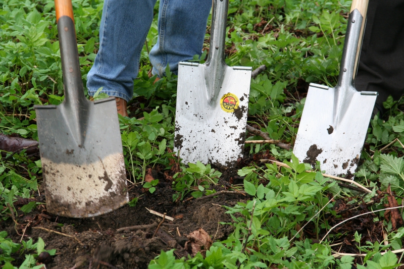 pepiniere-VARAGES-min_work-lawn-flower-tool-green-backyard-1103633-pxhere.com